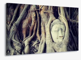 Buddha Tree Root Canvas Amp Glass Wall Art - Ayutthaya Kingdom