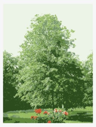 This Free Icons Png Design Of Tree At My Parents Missouri