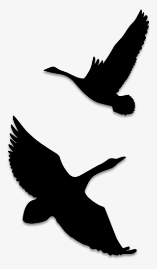 Birds Silhouettes Art & Islamic Graphics - Silhouette