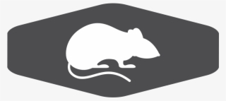 services gray lg padded rodent
