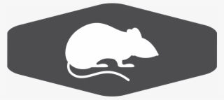Services Gray Lg Padded Rodent
