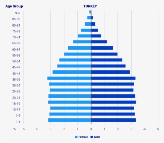 Population-age Group Pyramid - Demography