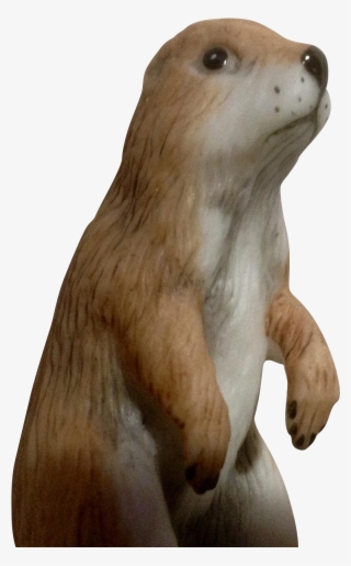 prairie dogs png picture free - png prairie dog