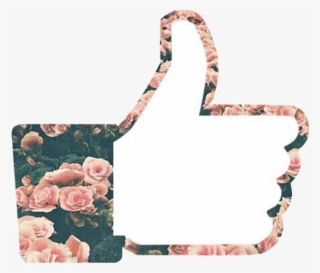 Like Thumbsup Flowers Tumblr Roses Pink Freetoedit