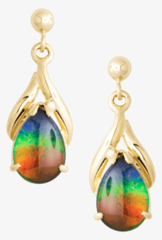 Nina 14k Yellow Gold Earrings - Korite