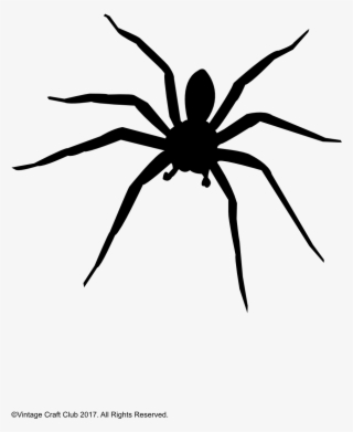 Spider Silhouette Image - Silhouette