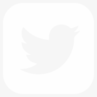 Social Icon Social Icon Social Icon - Twitter Png High Quality