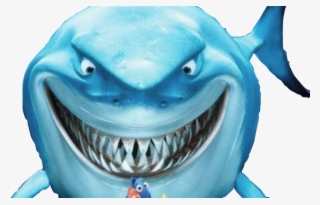Reportar Abuso - Finding Nemo Smiling Shark