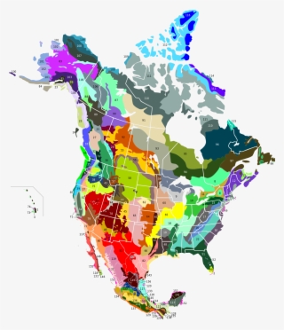 Terrestrial Ecoregions Of North America - Canada