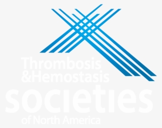 Join Us At The 5th Biennial Summit Of The Thrombosis - Bean Bag