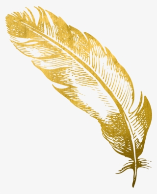 Gold Feather Feathers Native Boho Pretty Decals Decor - Gold Feather Transparent Background