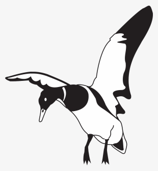 Landing Black And White Duck Clip Art At Clker - Flying Duck Black And White