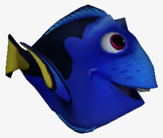Download Zip Archive - Pomacanthidae