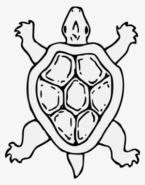 tortoise - sca tortoise heraldry