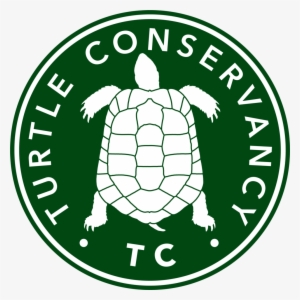 Turtle Conservancy - Turtle