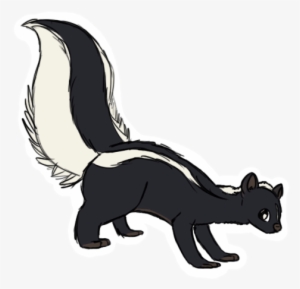 skunk transparent