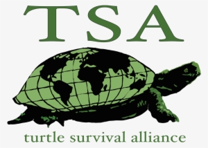 The Turtle Conservation Coalition - Turtle Survival Alliance Logo