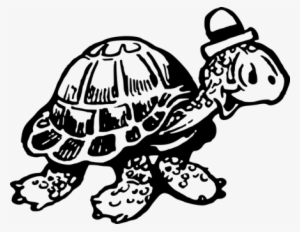 Tortoise Sea Turtle Computer Icons Drawing - Galápagos Tortoise