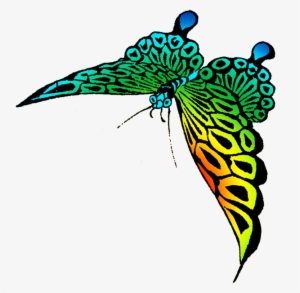 Colorful Strange Butterfly