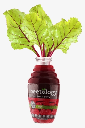 Organic Beetology Juice - Beetroot