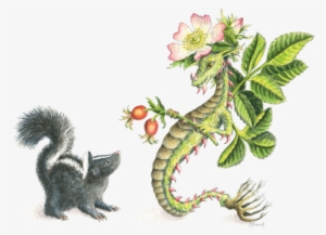 Hbdragon Wild Rose Dragon And Skunk - Rose