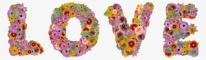 Flower Text Png