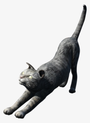 Fo4 House Cat - Wiki