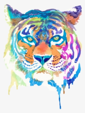 Popular And Trending Tiger Rawr Stripes Double Cool - Things To Draw With Watercolour