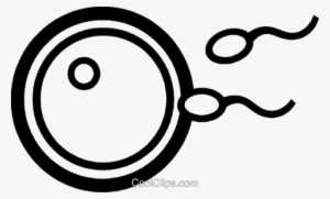 Sperm And Egg Royalty Free Vector Clip Art Illustration - Egg Sperm Clipart