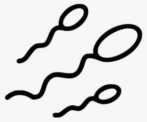 Png File - Sperm Cell Png Clipart