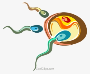 Sperm Vector Happy - Illustration