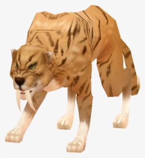 Striped Gold Tiger - Paw