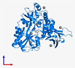 <div Class='caption-body'>pdb Entry 3d4c Contains 1 - Binding Protein