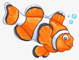 Clown Fish - Clownfish