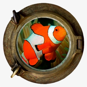 clownfish marine section png - finding dory wall art sticker 3d porthole view undersea