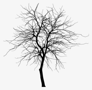 This Free Icons Png Design Of Skinny Tree Silhouette