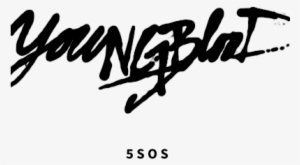 5sos Transparent Tweet - 5 Seconds Of Summer Youngblood Png