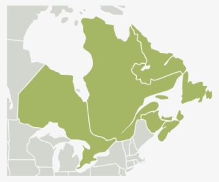 Nearctic-eastern Canada - Svg - Eastern Canada Map Blank