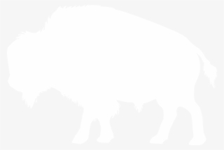 Bison Png White
