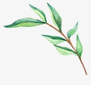 Watercolor Leaves Transparent Images Png - Watercolor Leaf Clip Art