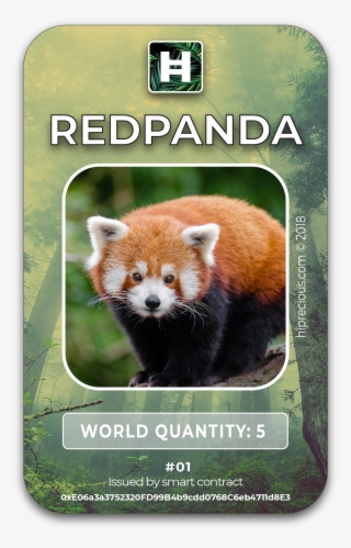 Red Panda •