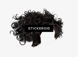 Afro Hair Pic - Black Curly Hair Png