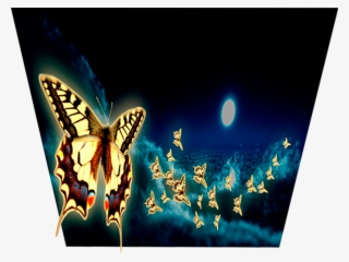 Don't Believe Your Eyes Night Glow Night Ambient Moonlight - Papilio