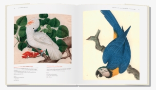 Natural History Museum <br>books For Adults - Exhibition Catalogue Natural History Museum