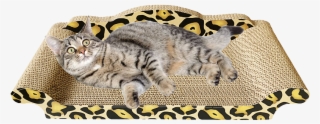 Out Of Stock [cat Scratch Bed To Buy 1 Get 1 Free] - Scratching Post