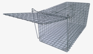 Fox Trap - Trap Fox