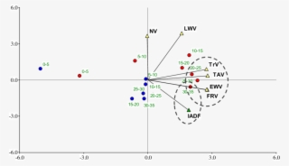 Position Of Variables Of Teak Trees Vessels (tav - Nyse:trv