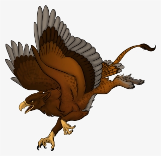 Kawheek Gryphon - Eagle