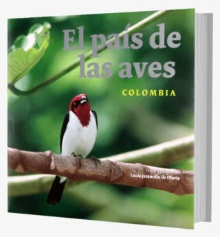 El País De Las Aves Colombia