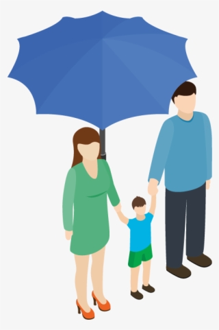 Insurance - Umbrella